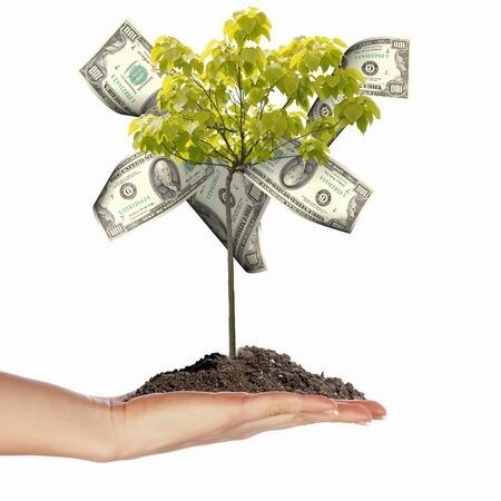 Sources for your Start-Up’s Seed Money